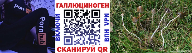 Галлюциногенные грибы мицелий  Таганрог 