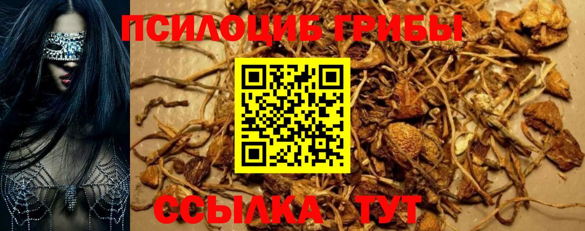 Таганрог  Псилоцибиновые грибы ЛСД  Вход с VPN 